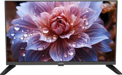 Телевизор 24" GOLDSTAR LT-24R1000 DVB-T2/HD-Ready