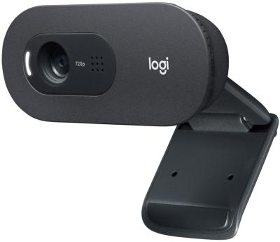 Камера WEB LOGITECH C505e черный 2Mpix (1280x720) USB2.0 с микрофоном  (960-001372)