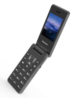 Сотовый телефон Xenium X600 серый (2G,2*SIM, 2,4",320х240,mSD до 32Gb,0.3 Мп,1000 мАч,FM,BT,Type-C)