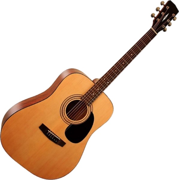 Акустическая гитара W81 w/BAG <Акустическая гитара 6-струнная с чехлом, Parkwood>